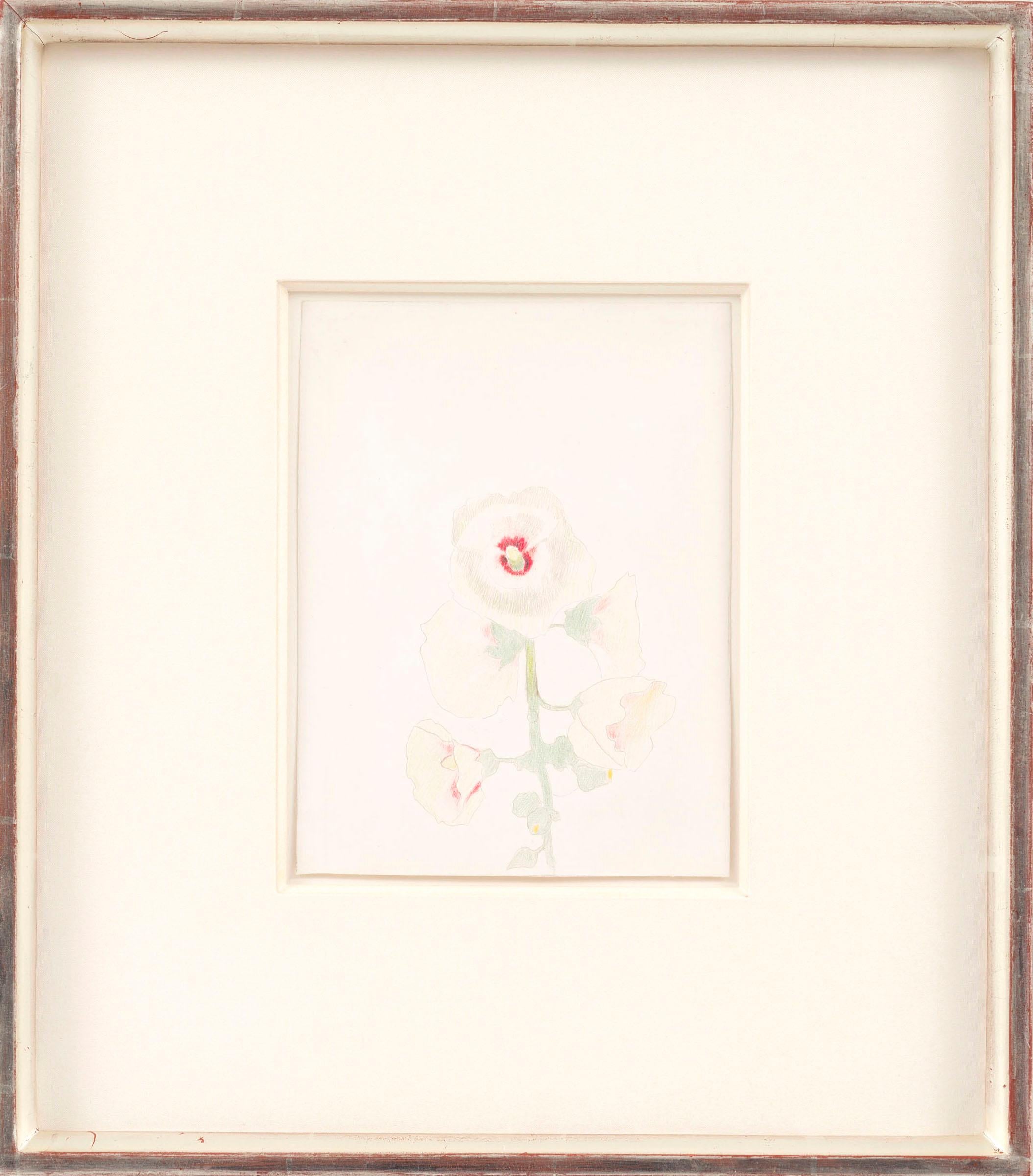 Joseph Stella
Hollyhocks, c. 1919
silverpoint and crayon on paper
15 x 12.1 cm

Provenance:
the artist;
by bequest to his nephew, Sergio Stella;
- 2000 Mary Stella

Exhibited:
Richard York Gallery, New York, 1998, Passion and Reverence: Joseph