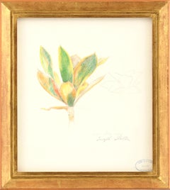 Magnolia, Joseph Stella, 1919, Crayon and Silverpoint on paper