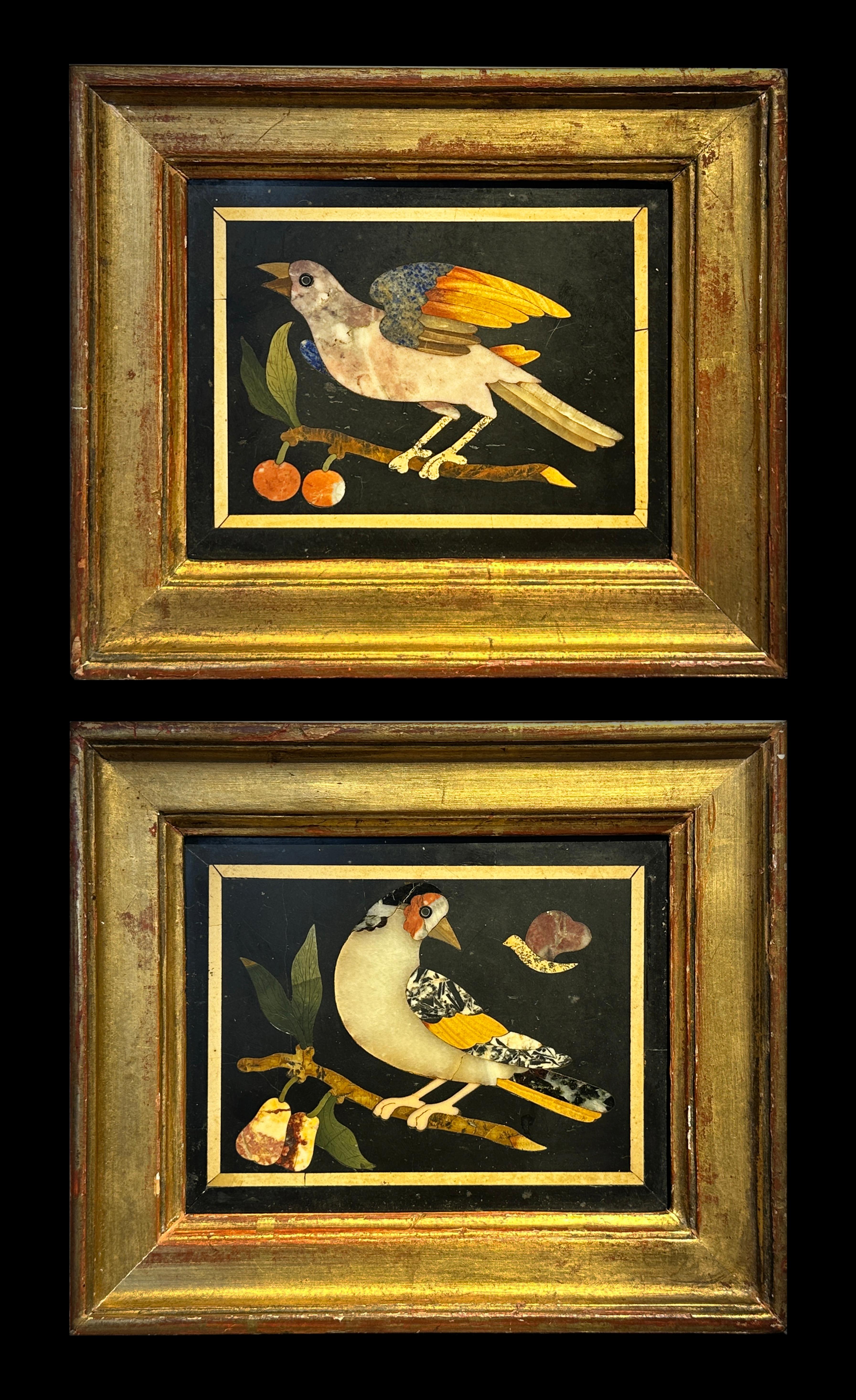 PAIR OF FLORENTINE ANTIQUE PIETRA DURA PLAQUES WITH BIRDS, 18th Century