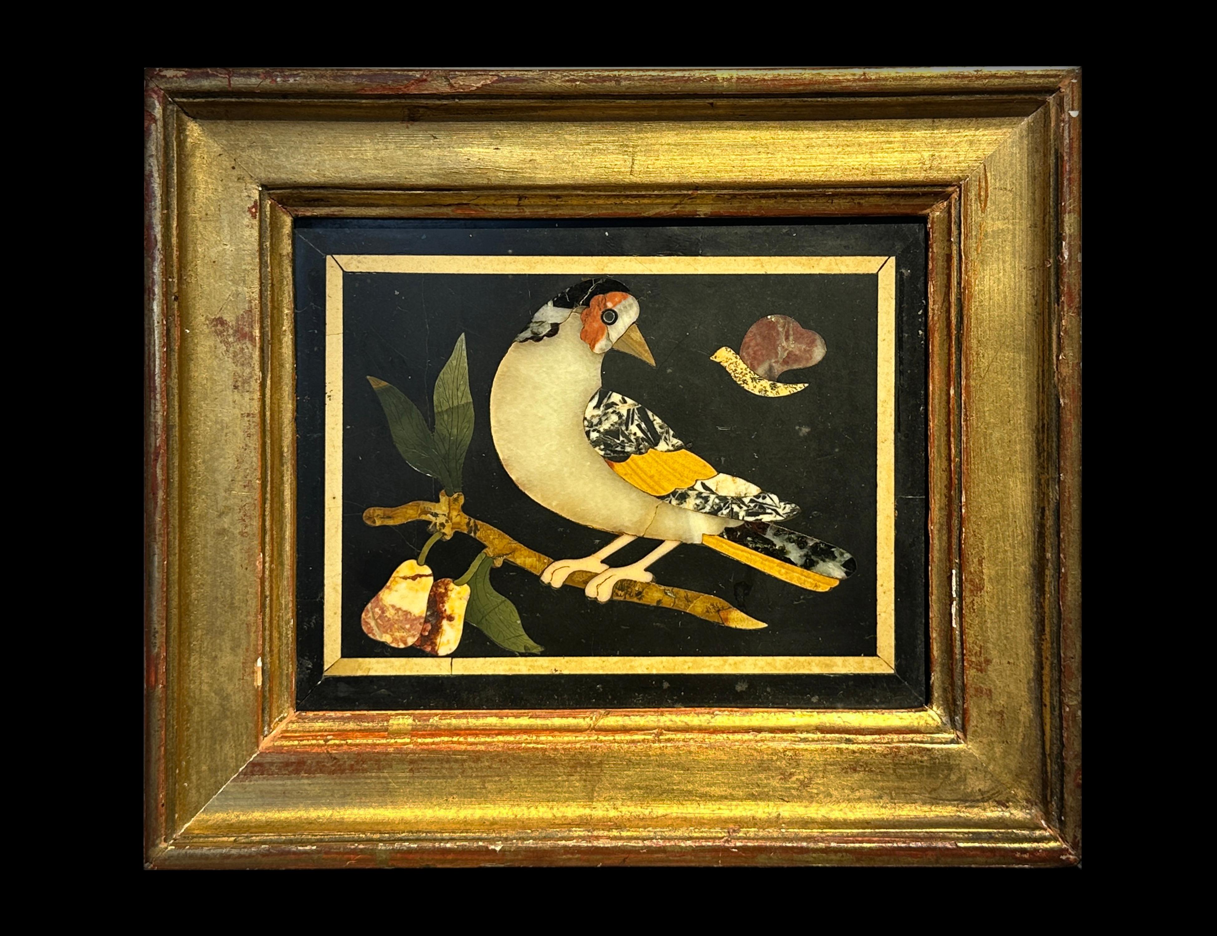 PAIR OF FLORENTINE ANTIQUE PIETRA DURA PLAQUES WITH BIRDS, 18th Century For Sale 1