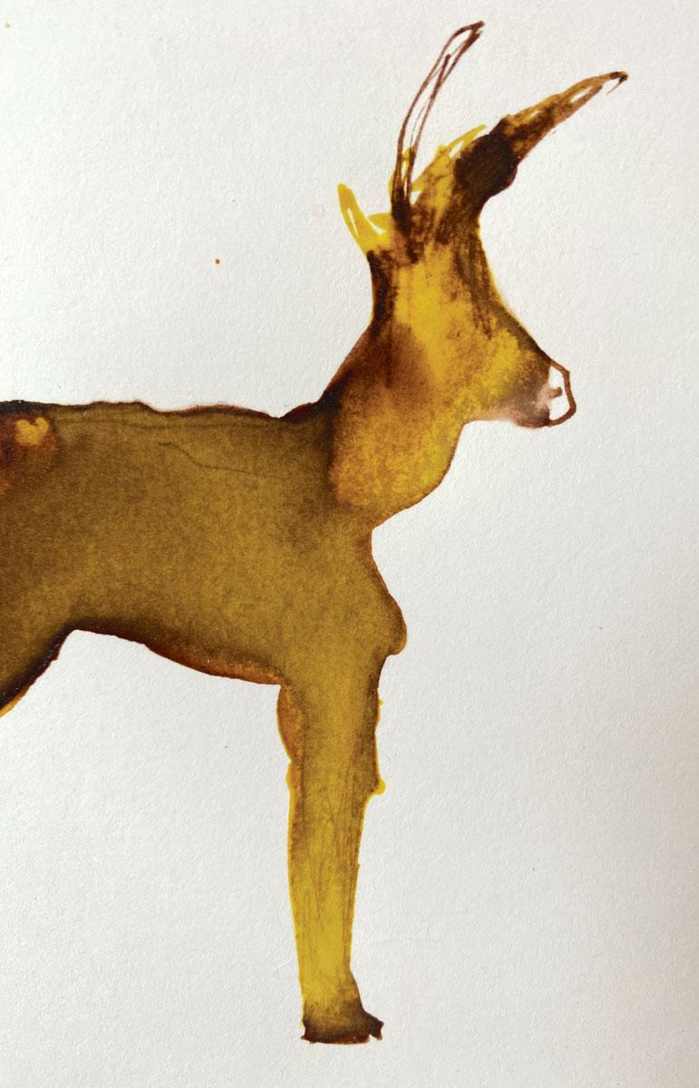 Renée - Gabrielle Pool - Stravagante disegno a inchiostro di un'antilope africana in vendita 2