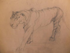 Old Master Drawing, Tiger, German or French, Animal Drawing