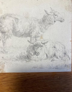 Old Master Drawing, Two Sheep, Circle of Dujardin, Dutch School, Baroque Art