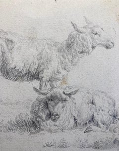 Old Master Drawing, Two Sheep, Circle of Dujardin, Dutch School, Baroque Art