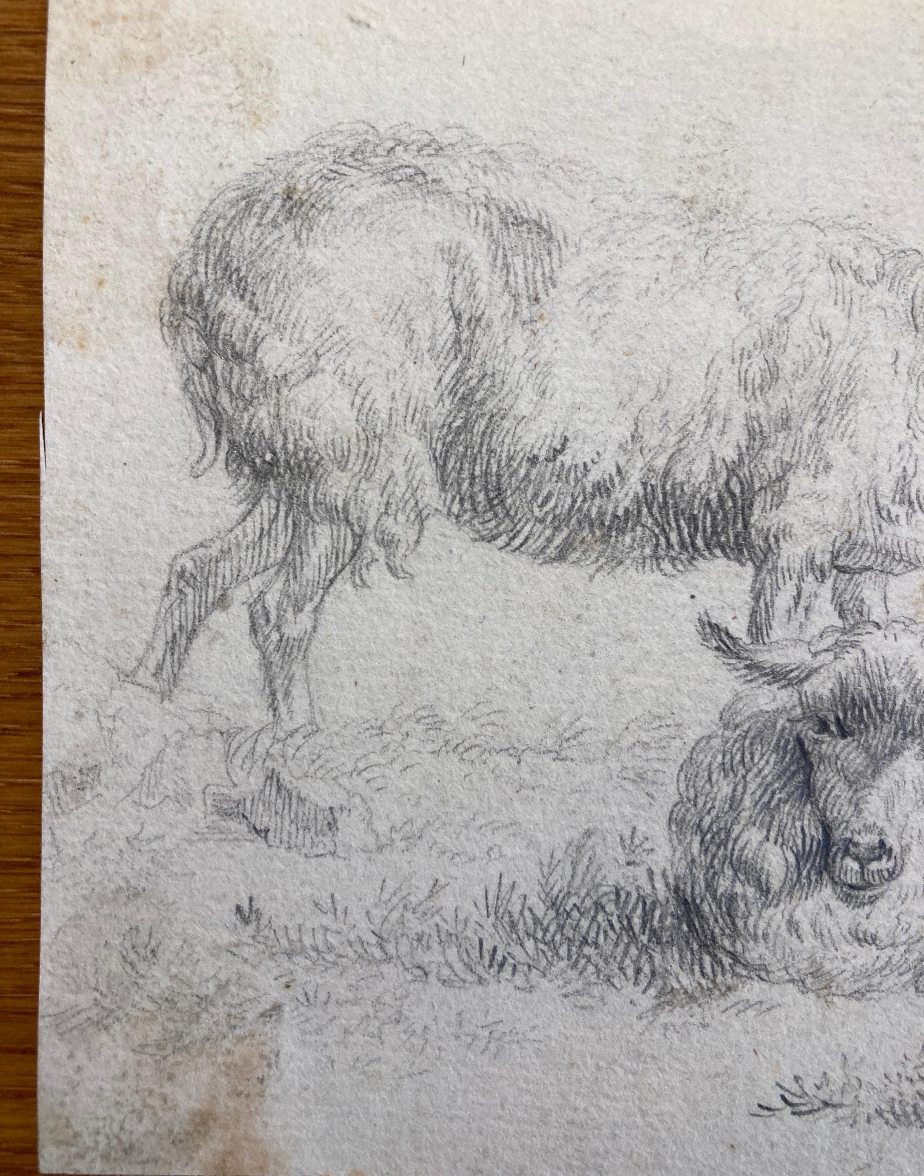 Old Master Drawing, Two Sheep, Circle of Dujardin, Dutch School, Baroque Art - Gray Animal Art by Karel Dujardin