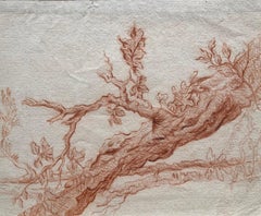 Flemish Artist, Study of a Tree Trunk, Sanguine, Old Master Drawing