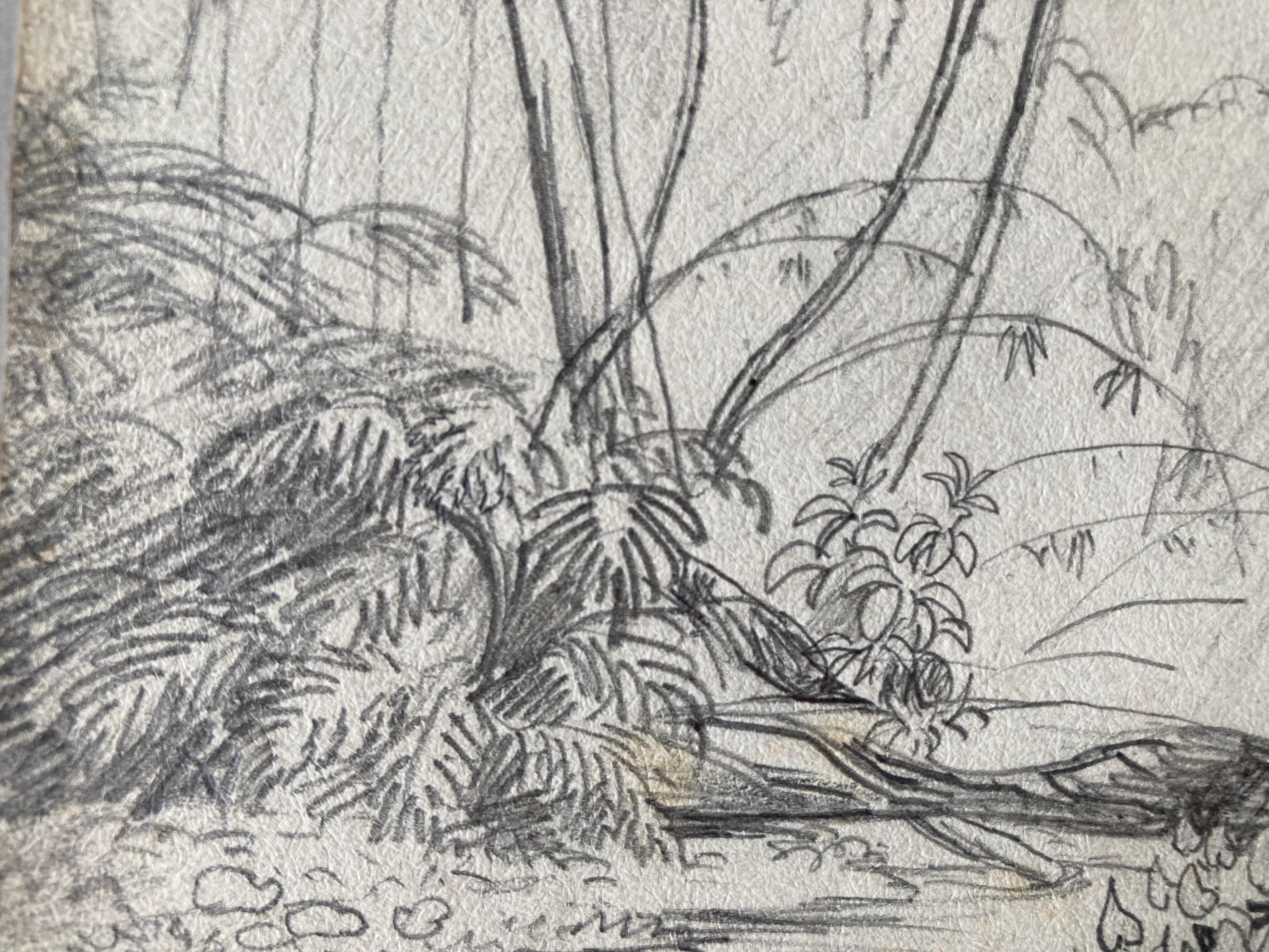 Paysage tropical avec palmiers et flamants, Art romantique allemand, Art de la nature en vente 8