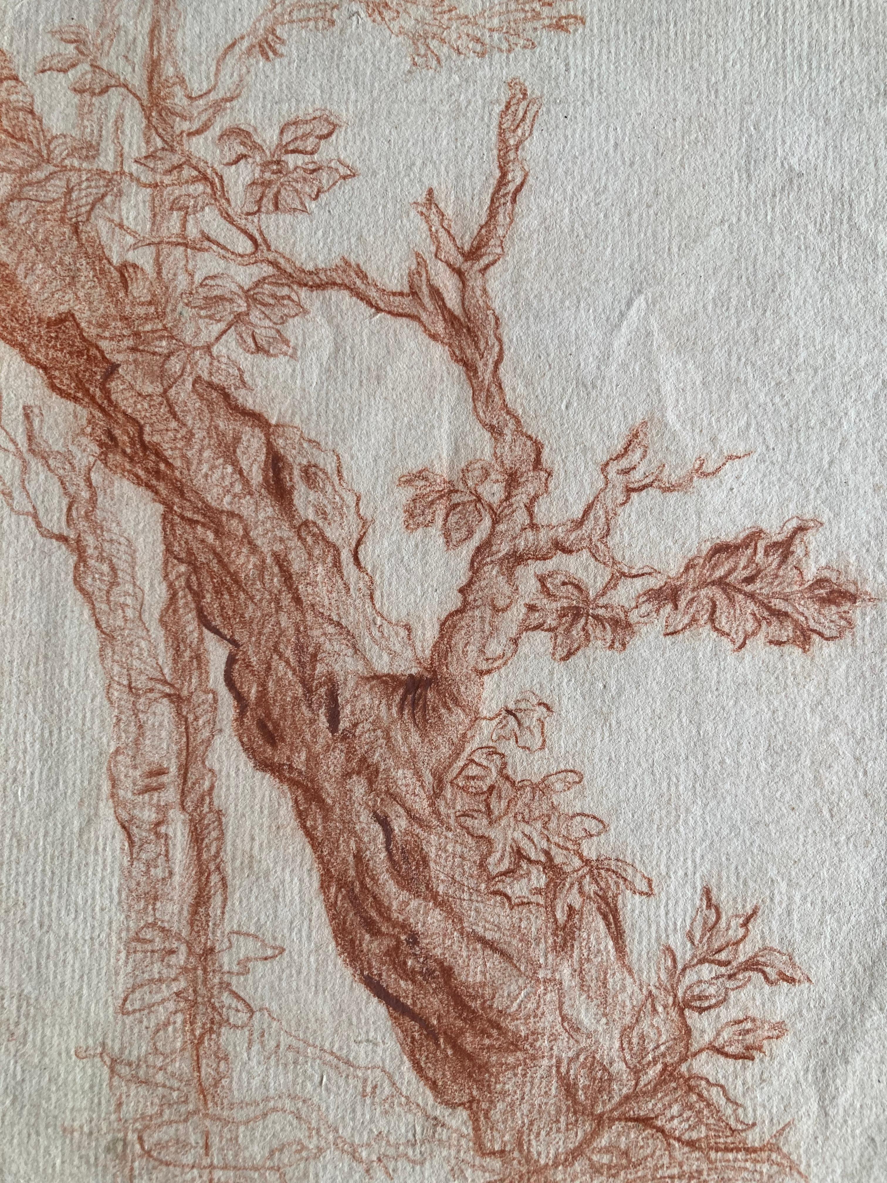Flemish Artist, Study of a Tree Trunk, Sanguine, Old Master Drawing - Beige Landscape Art by Unknown