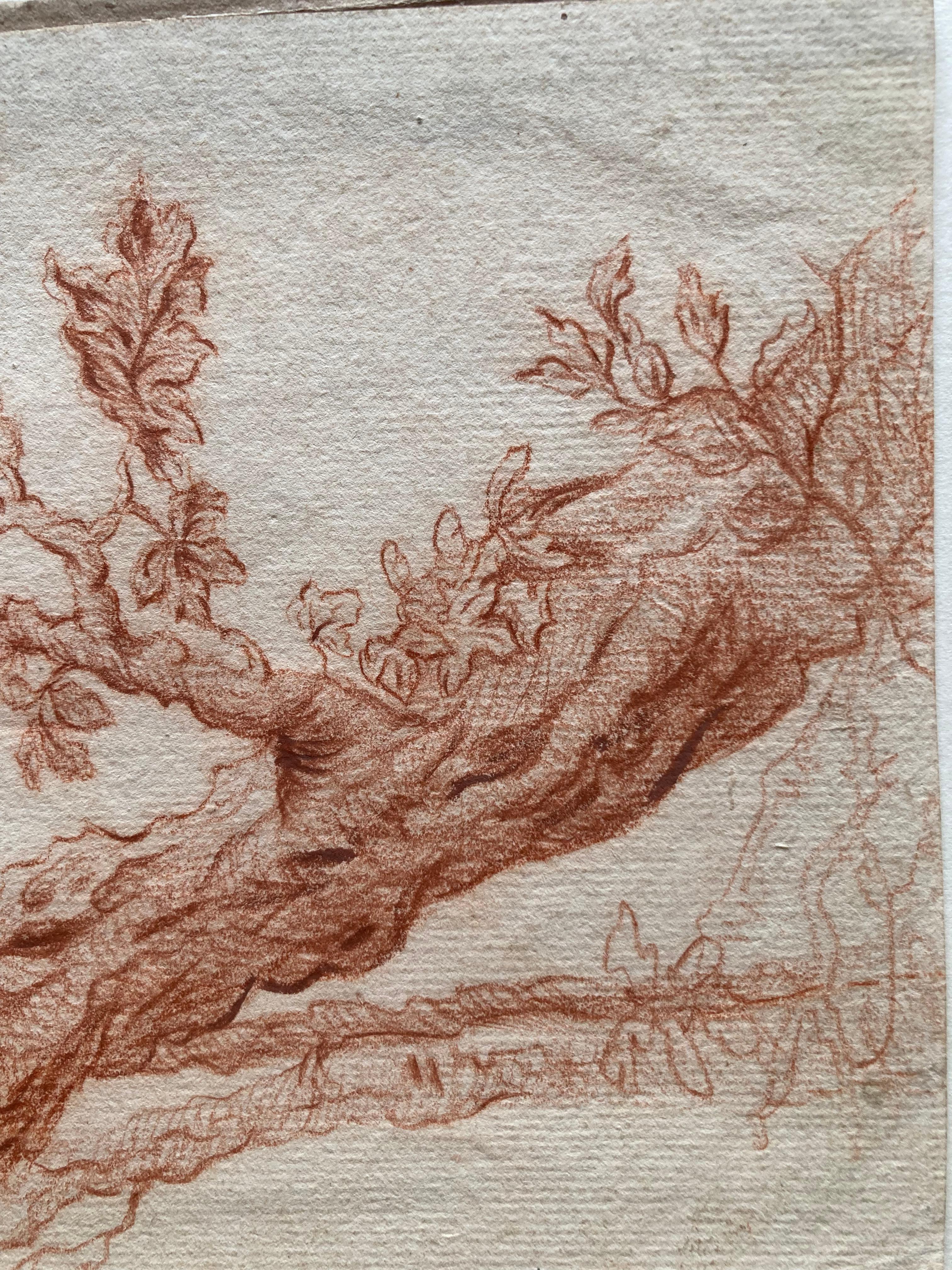  Both dead and alive, a mighty, uprooted tree trunk, together with a tangle of stumps, roots, and branches, is the sole subject of this drawing. The artist, like several other Netherlandish artists around 1600, was fascinated by such highly charged