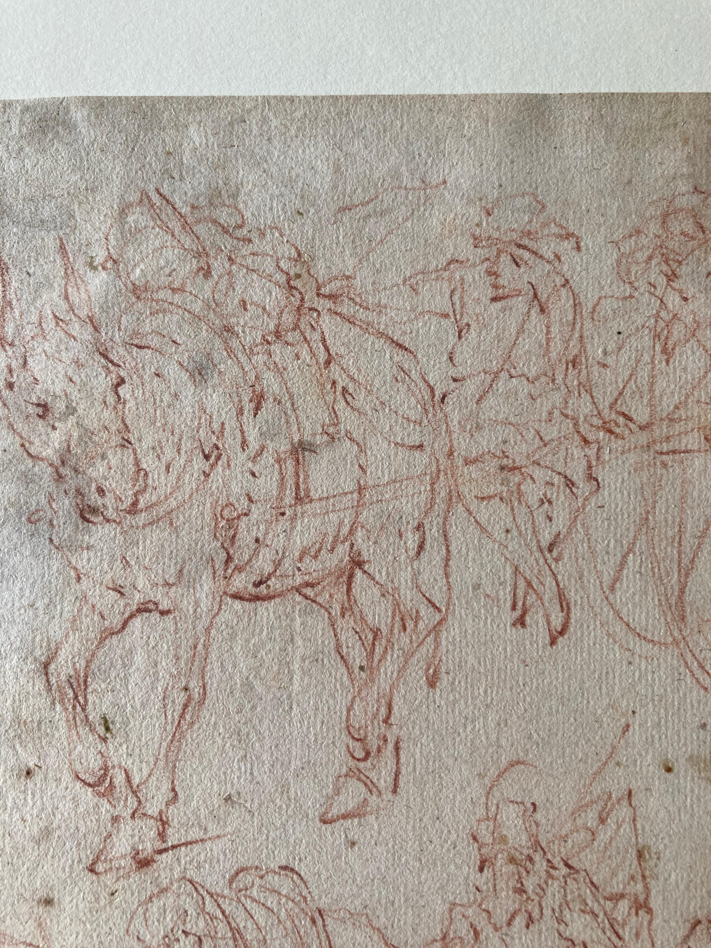 This drawing shows several studies of a donkey with a carriage. Its style is close to Flemish 17th century artists. On the passepartout one reads 