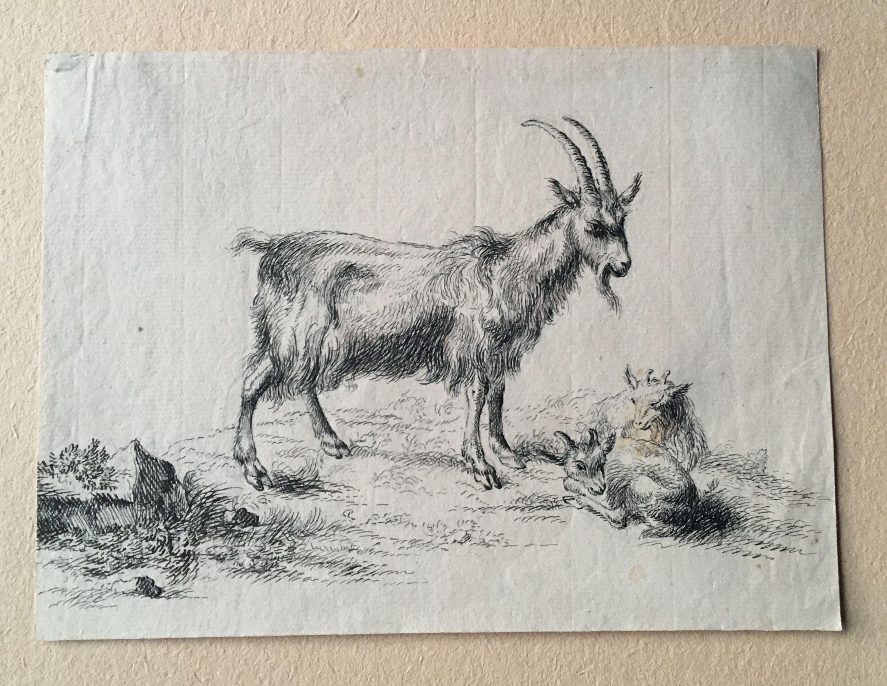 Goat Babies Animals, 17th Century, Old Master Drawing, After Berchem, Dutch - Art by (After) Nicolaes Berchem