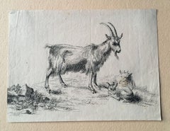 Goat Babies Animals, 17th Century, Old Master Drawing, After Berchem, Dutch