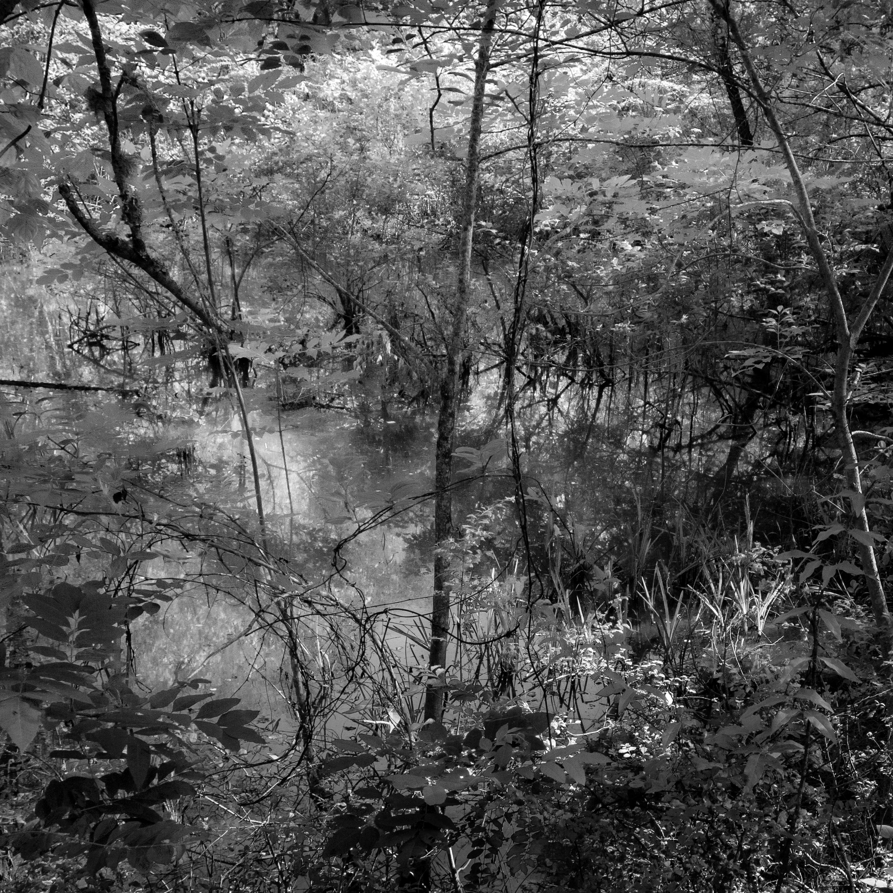 Black and White Photograph de Richard Skoonberg - Chattahoochee 15