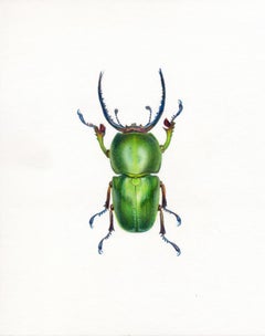 „Green Beetle #1“ – Insektenillustration – Hyperrealismus – Chuck Close