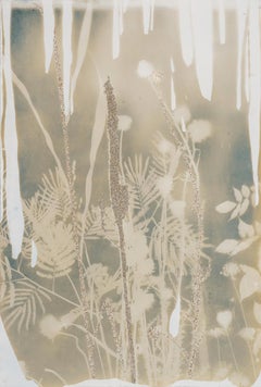 Psychic Garden (Emperor) - botanical - cyanotype - ethereal 