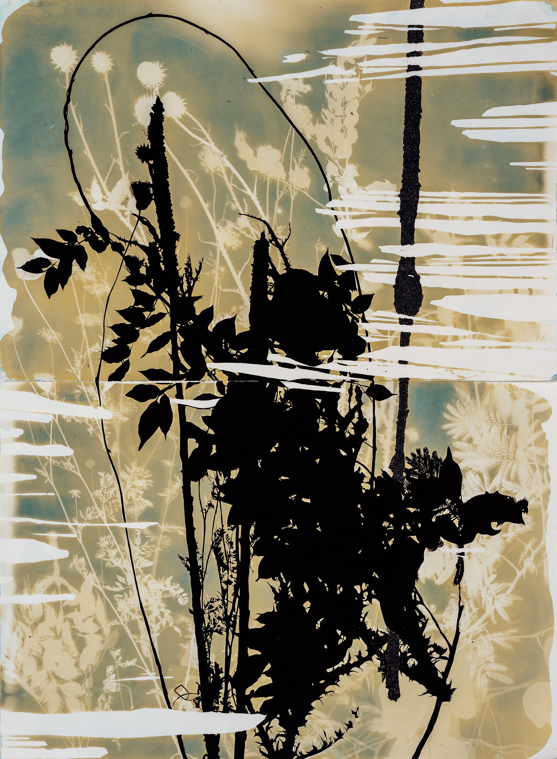 Psychischer Garten (Filia) – botanisch – zyanotypie – ätherisch  - schwarz und weiß – Mixed Media Art von Caroline Bullock