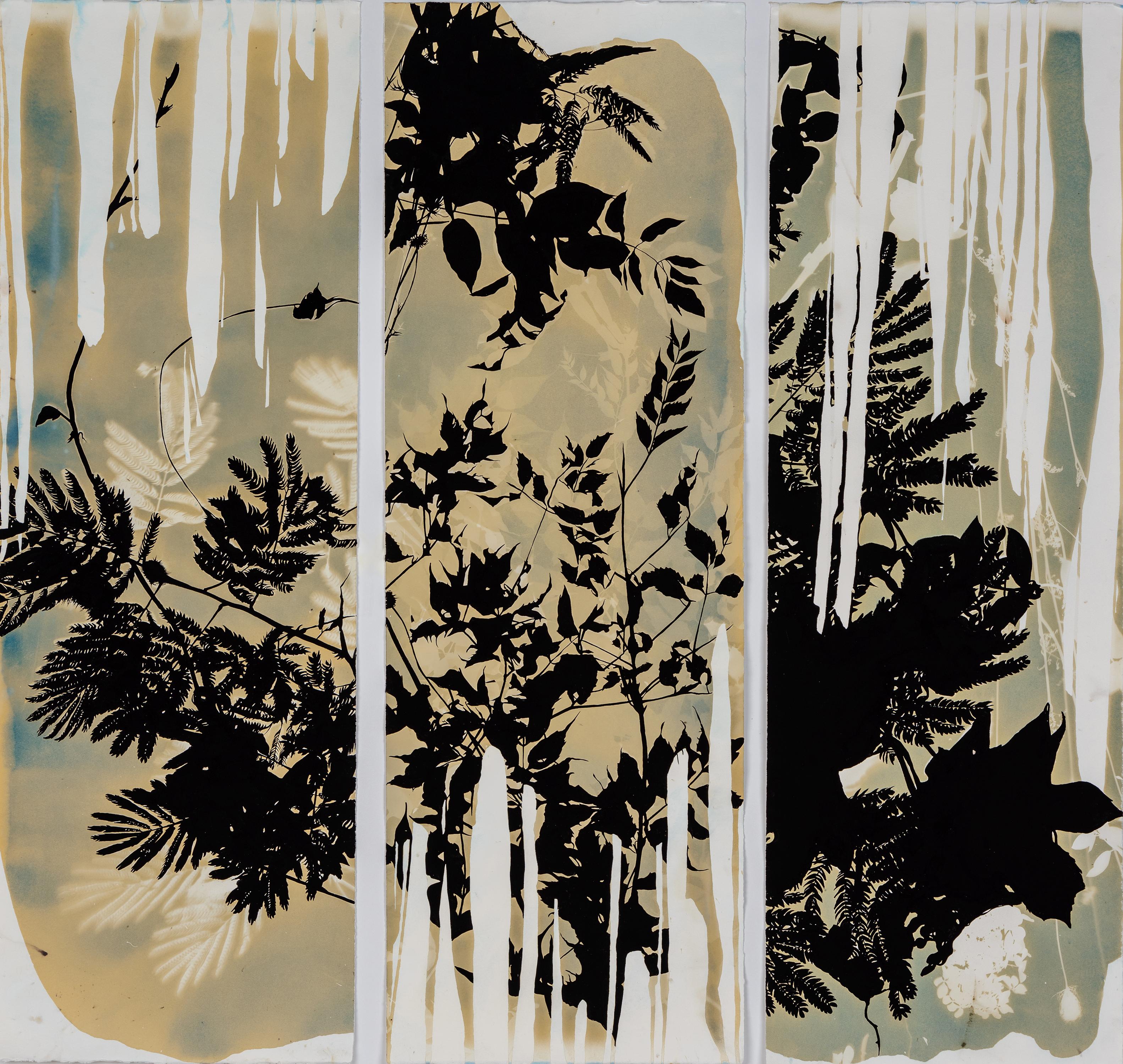 Psychischer Garten (Mimosa Pudica/Embrace) – botanisch – zyanotypie – ätherisch – Mixed Media Art von Caroline Bullock