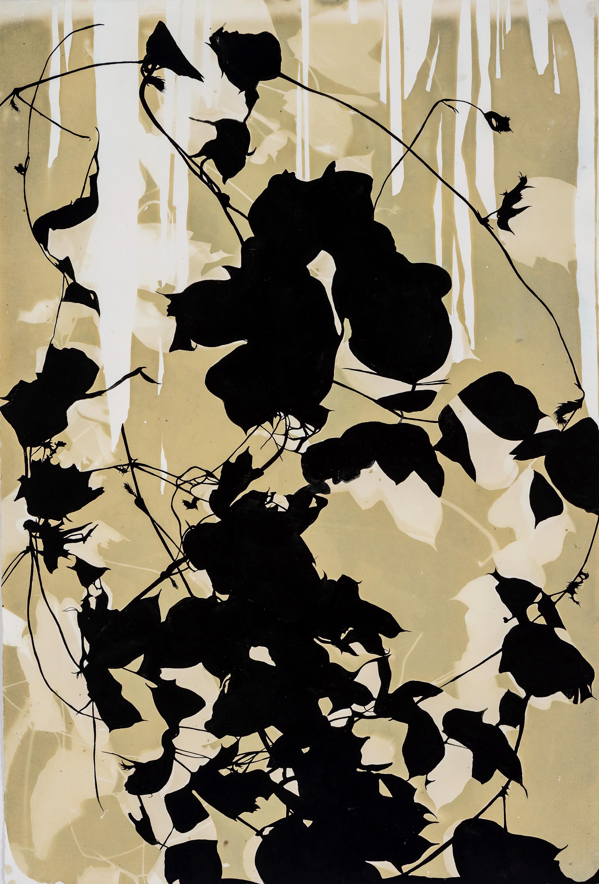 Abstract Drawing Caroline Bullock - Jardin psychédélique (Pueraria Montana/Halo) - botanique - cyanotype - éthéré