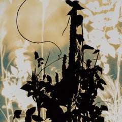 Psychic Garden (Shaman Staff) - botanical - cyanotype - ethereal
