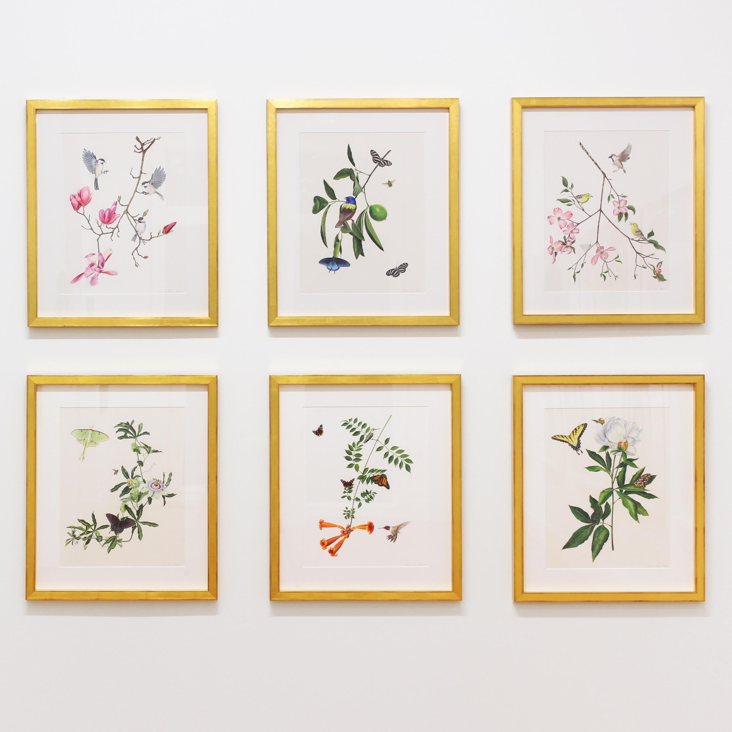 „Dogwood Branch with Warblers, Spargel & Cabbage White“ botanische Illustration 1