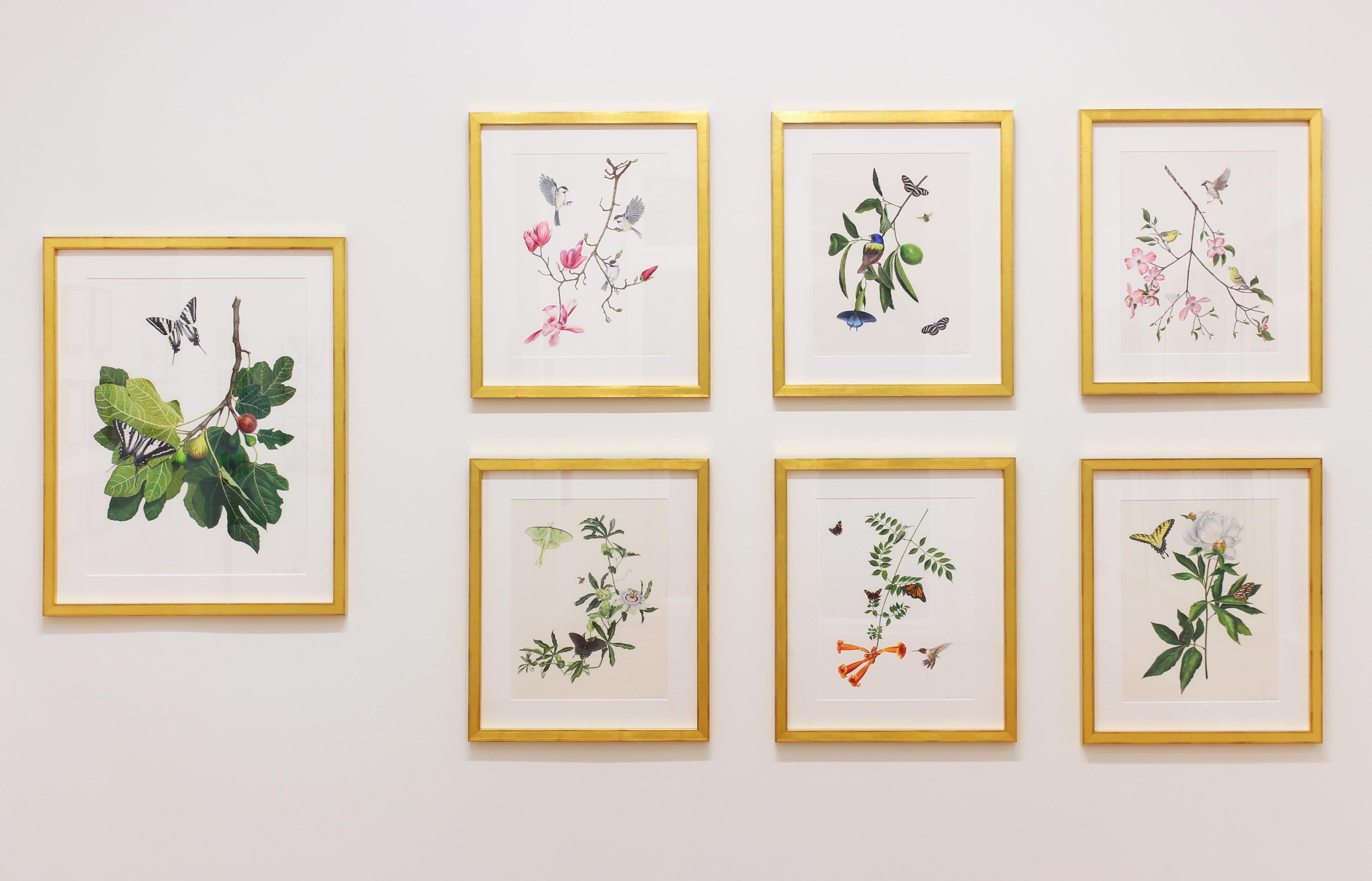 „Dogwood Branch with Warblers, Spargel & Cabbage White“ botanische Illustration 3