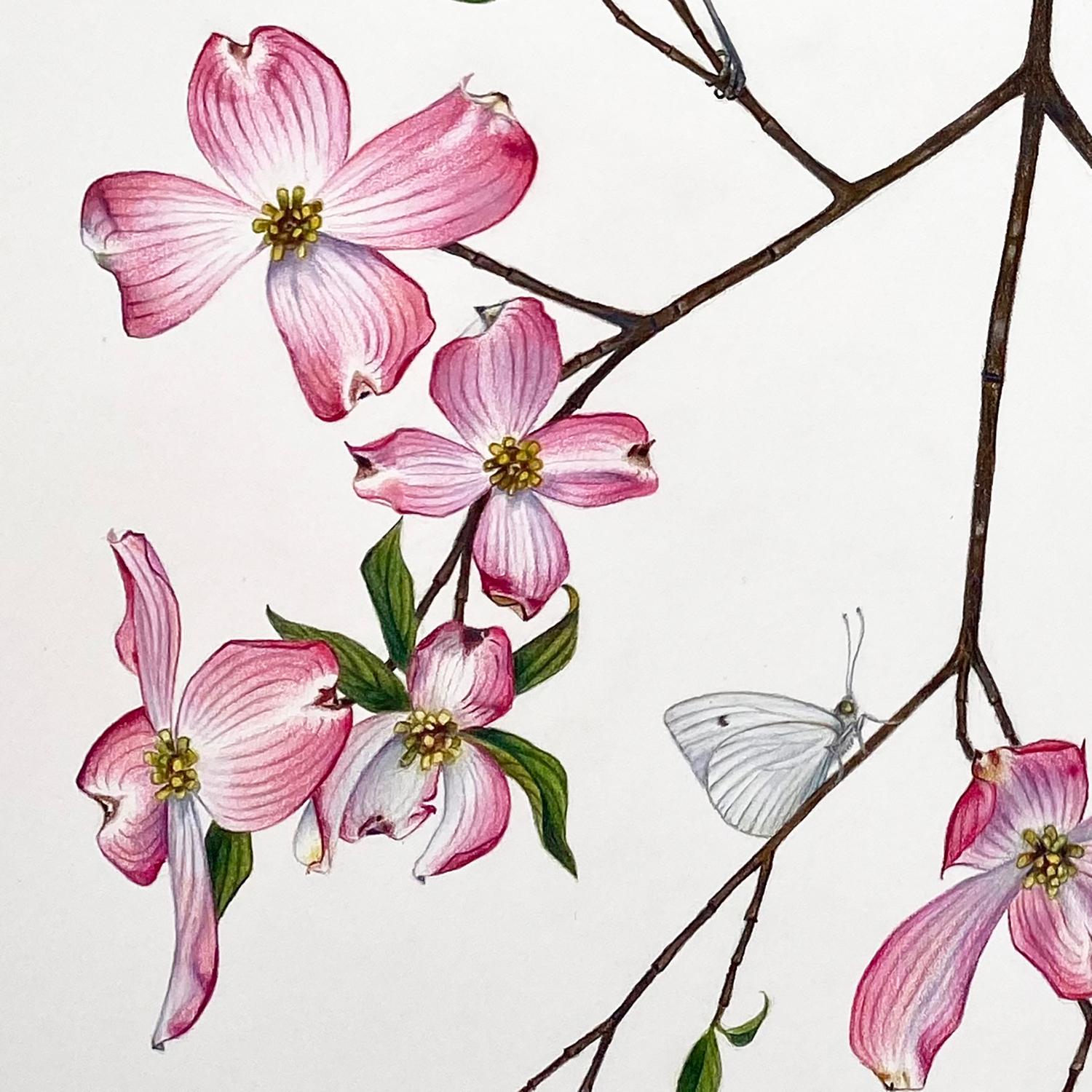 „Dogwood Branch with Warblers, Spargel & Cabbage White“ botanische Illustration (Realismus), Art, von Hannah Hanlon