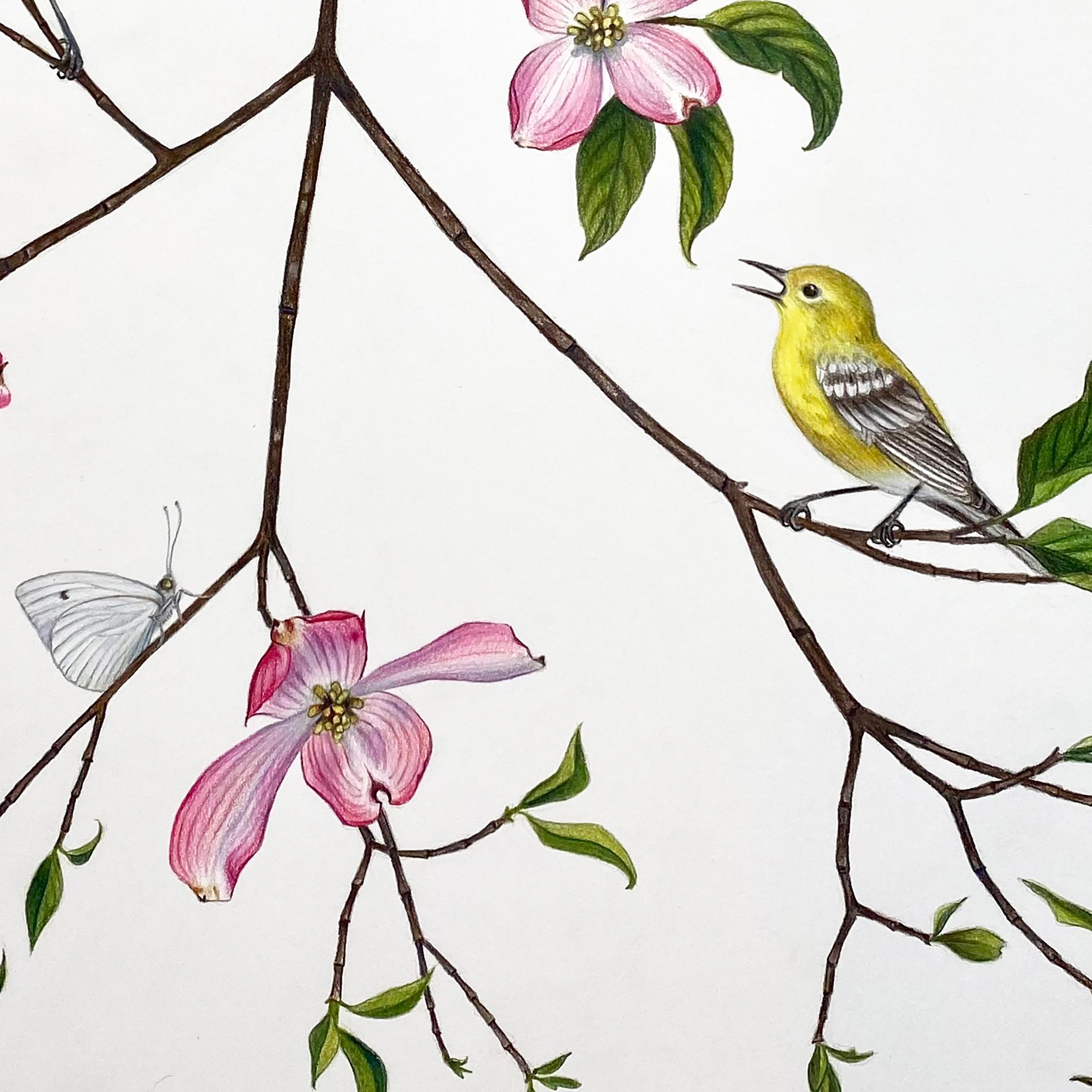 „Dogwood Branch with Warblers, Spargel & Cabbage White“ botanische Illustration – Art von Hannah Hanlon