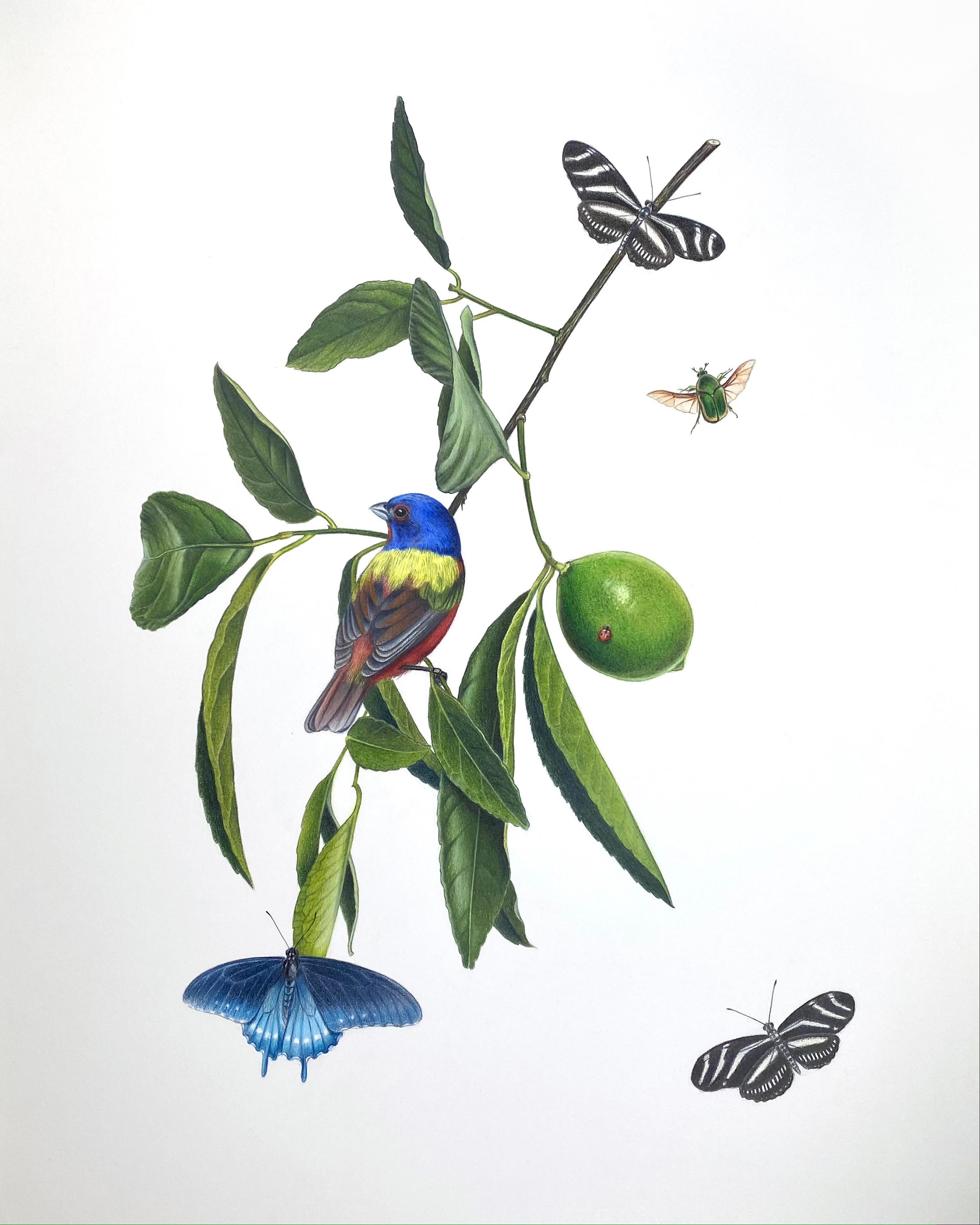 Hannah Hanlon Animal Art – Lime Branch, bemalte Einfassung, Zebra Longwings, Pfeifenweide, June Bug 
Ladybeetle