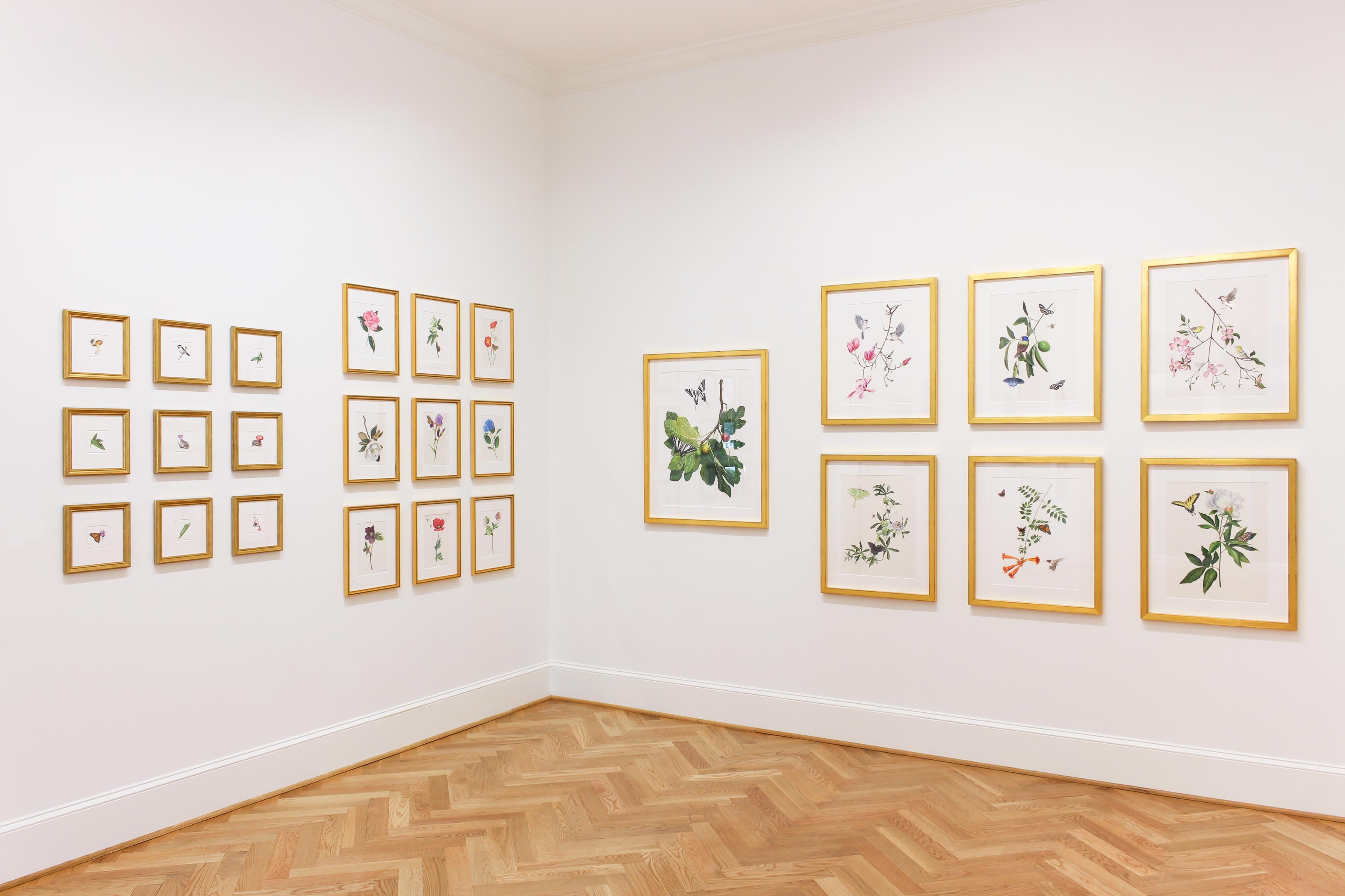 Vine Passiflora avec motif Luna, queue d'hirondelle noire et nid d'abeille - dessin botanique 4