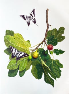'Fig Branch with Zebra Swallowtails' - botanical illustration, butterflies