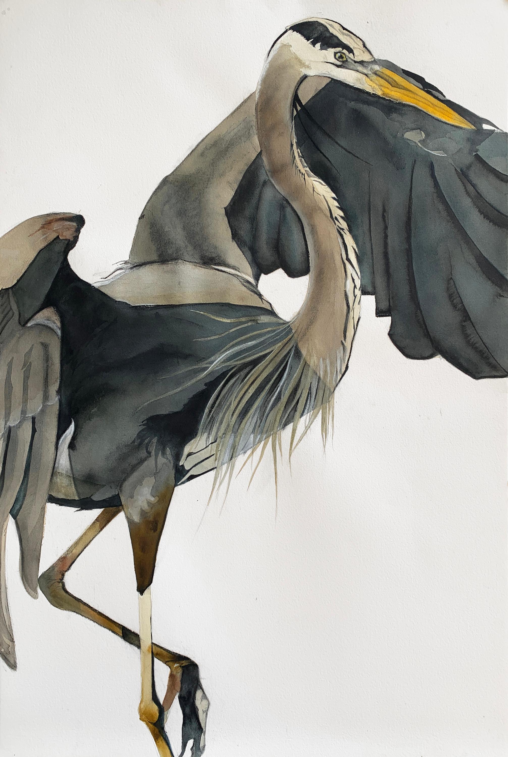 Heather Lancaster Animal Art - 'S-Curve' - Great Blue Heron - Large Scale Animal Drawing - Audubon
