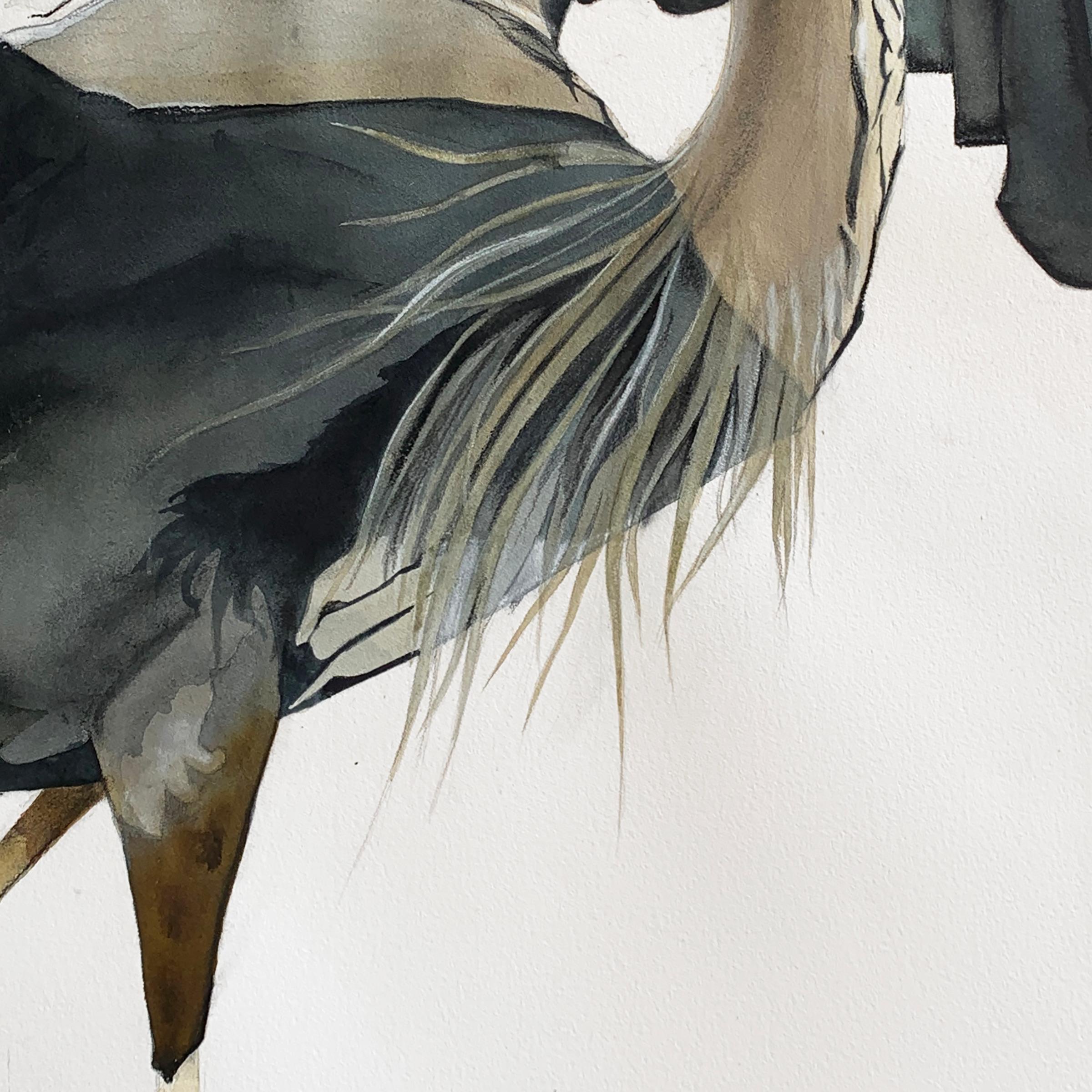 'S-Curve' - Great Blue Heron - Large Scale Animal Drawing - Audubon - Contemporary Art by Heather Lancaster