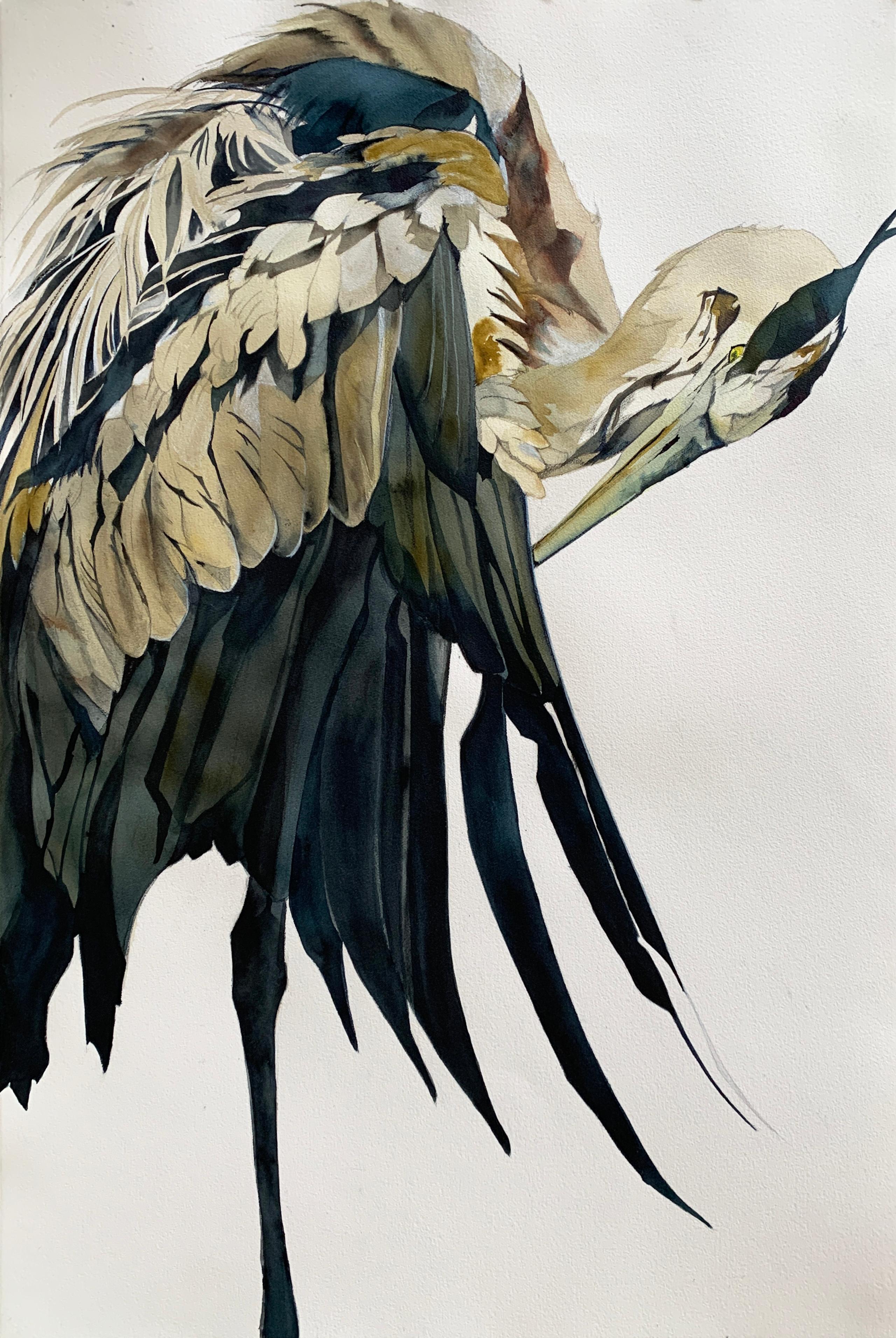 Heather Lancaster Animal Art - 'Cape' - Great Blue Heron - Large Scale Animal Drawing - Audubon