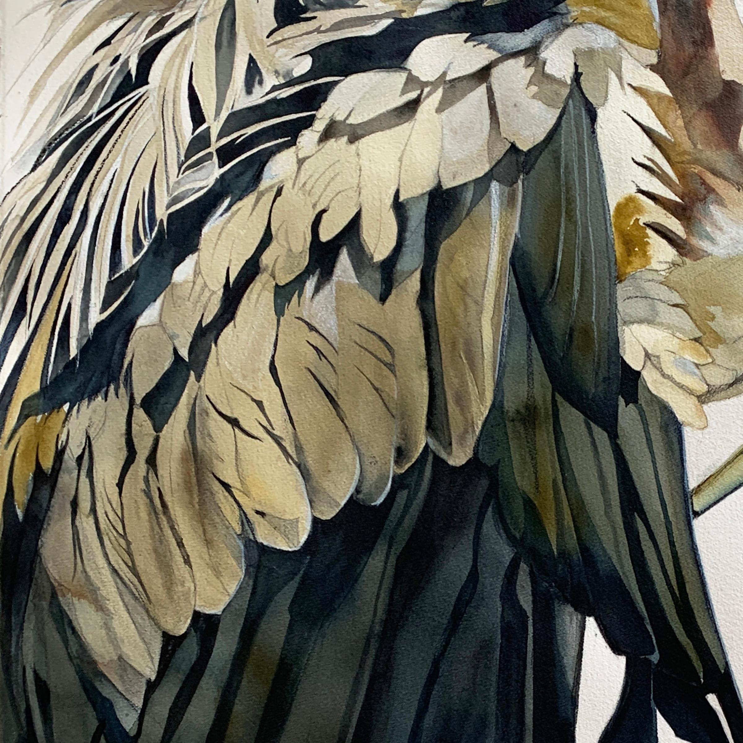 'Cape' - Great Blue Heron - Large Scale Animal Drawing - Audubon - Art by Heather Lancaster