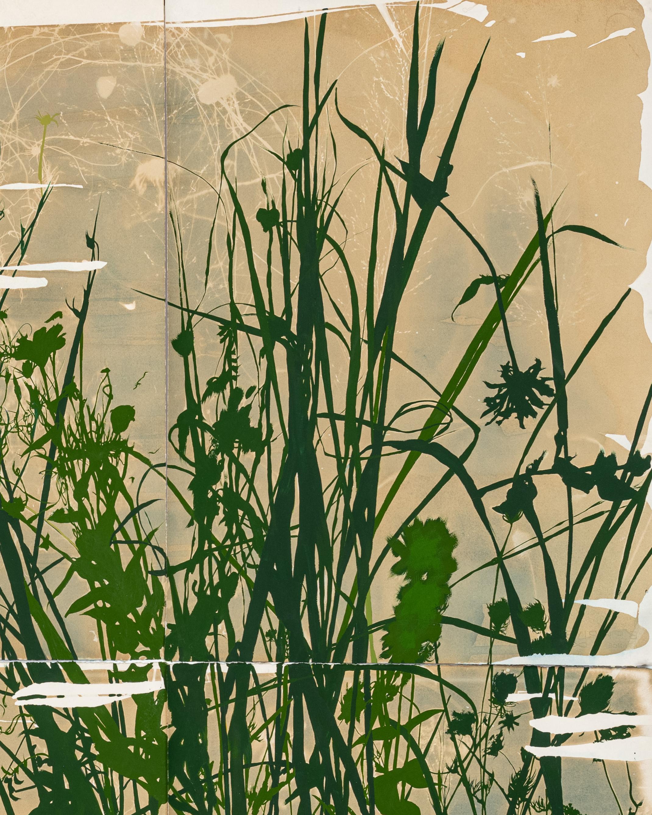 „This Place is a Dream (Jungle)“ – botanisch – Cyanotypie – grün – Pflanzen im Angebot 4