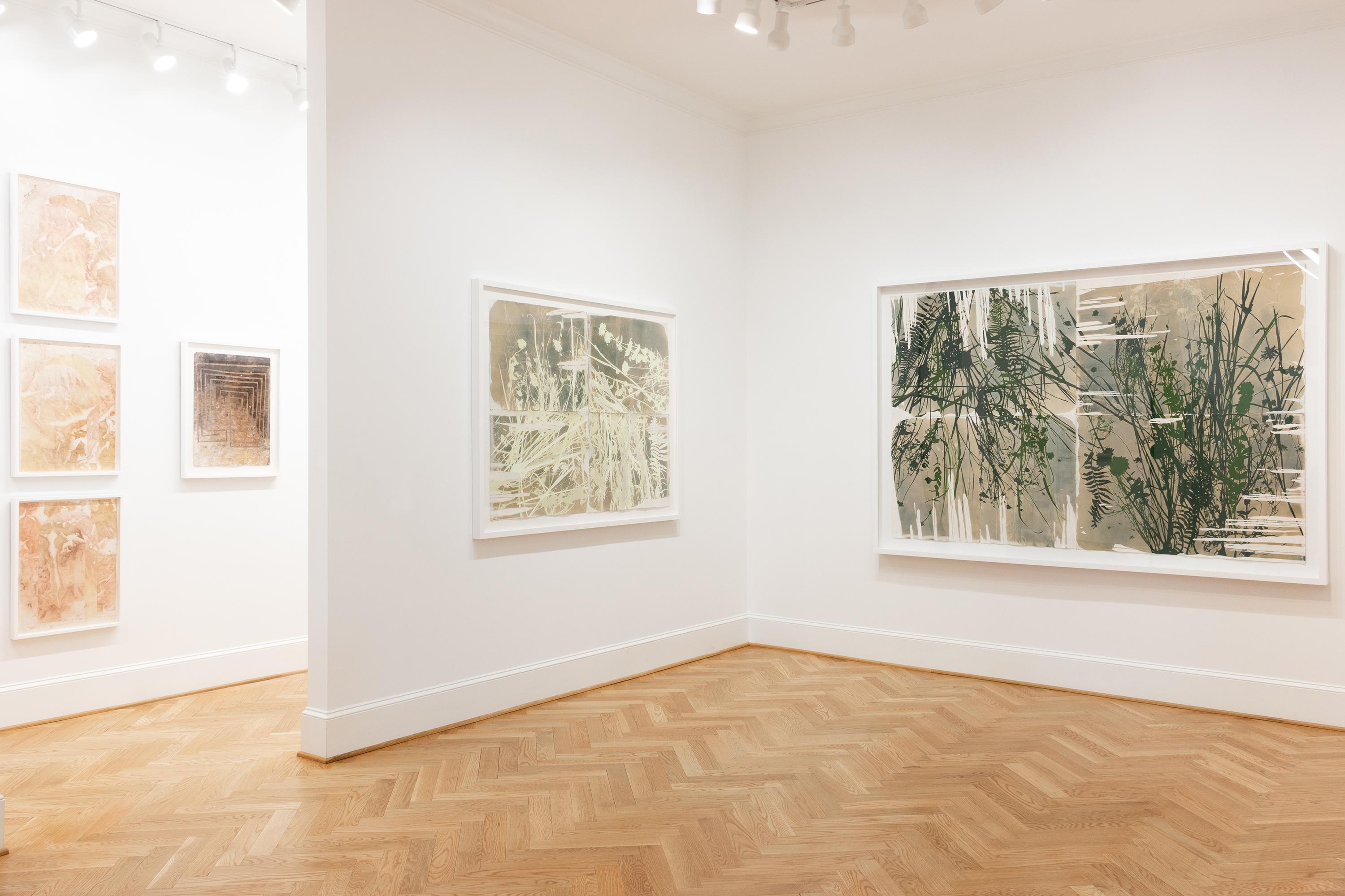 „This Place is a Dream (Jungle)“ – botanisch – Cyanotypie – grün – Pflanzen im Angebot 5