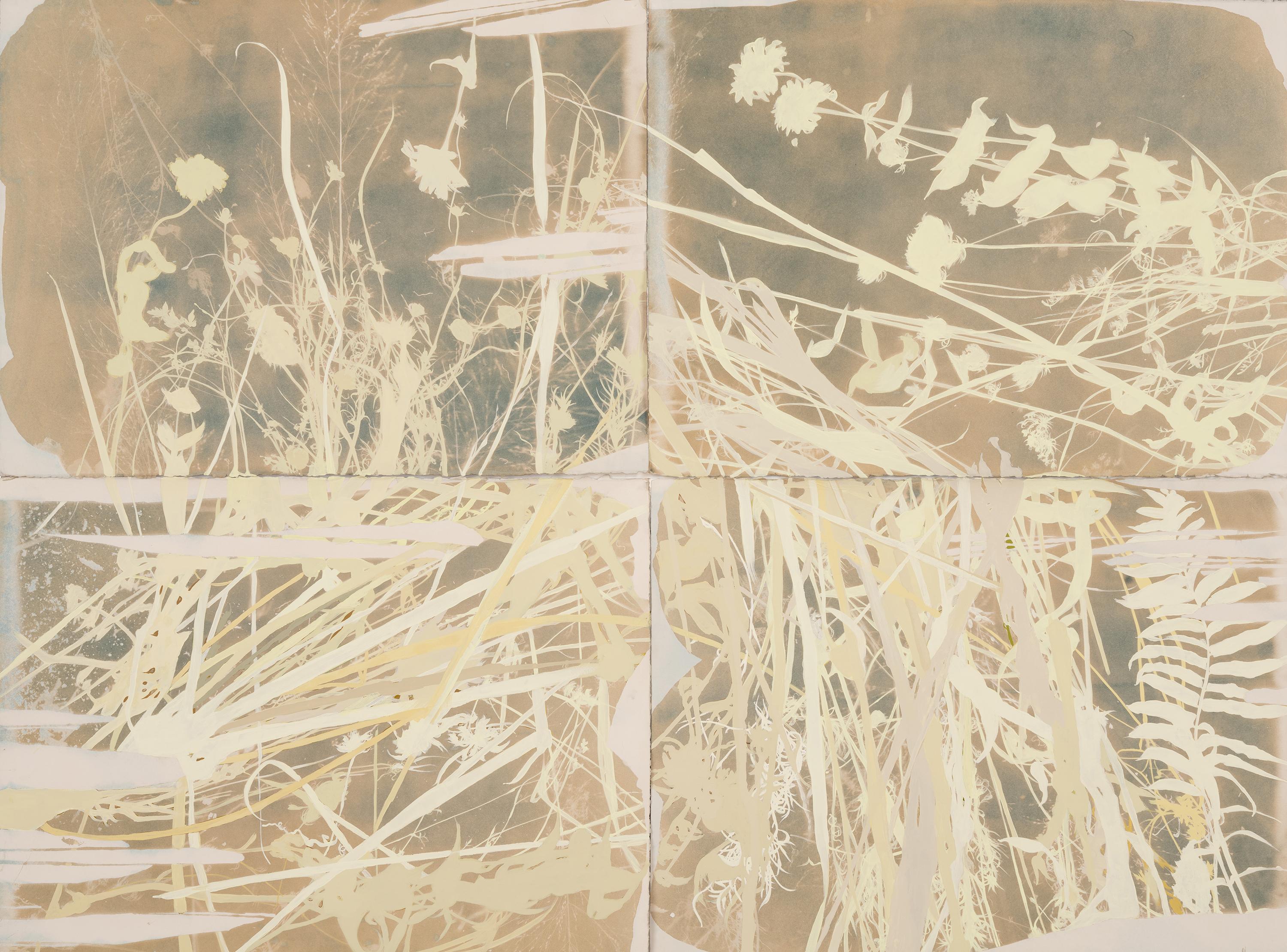 Abstract Drawing de Caroline Bullock - "Este lugar es un sueño (Pajar)" - botánica - cianotipia - flores - hierbas