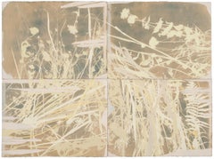 "This Place is a Dream (Haystack)" - botanical - cyanotype - flowers - grasses