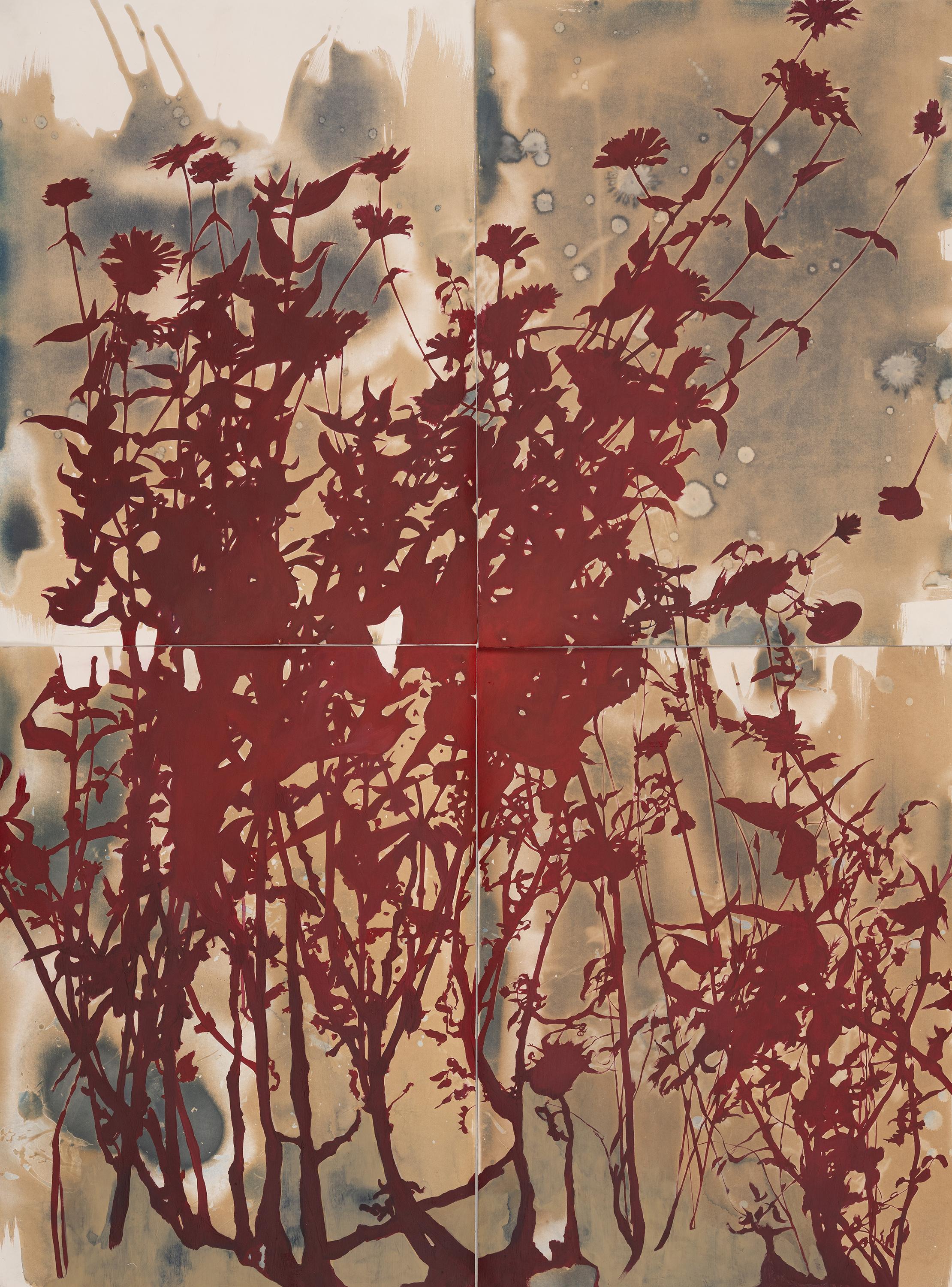 "Este lugar es un sueño (latido)" - botánica - cianotipia - flores - rojo