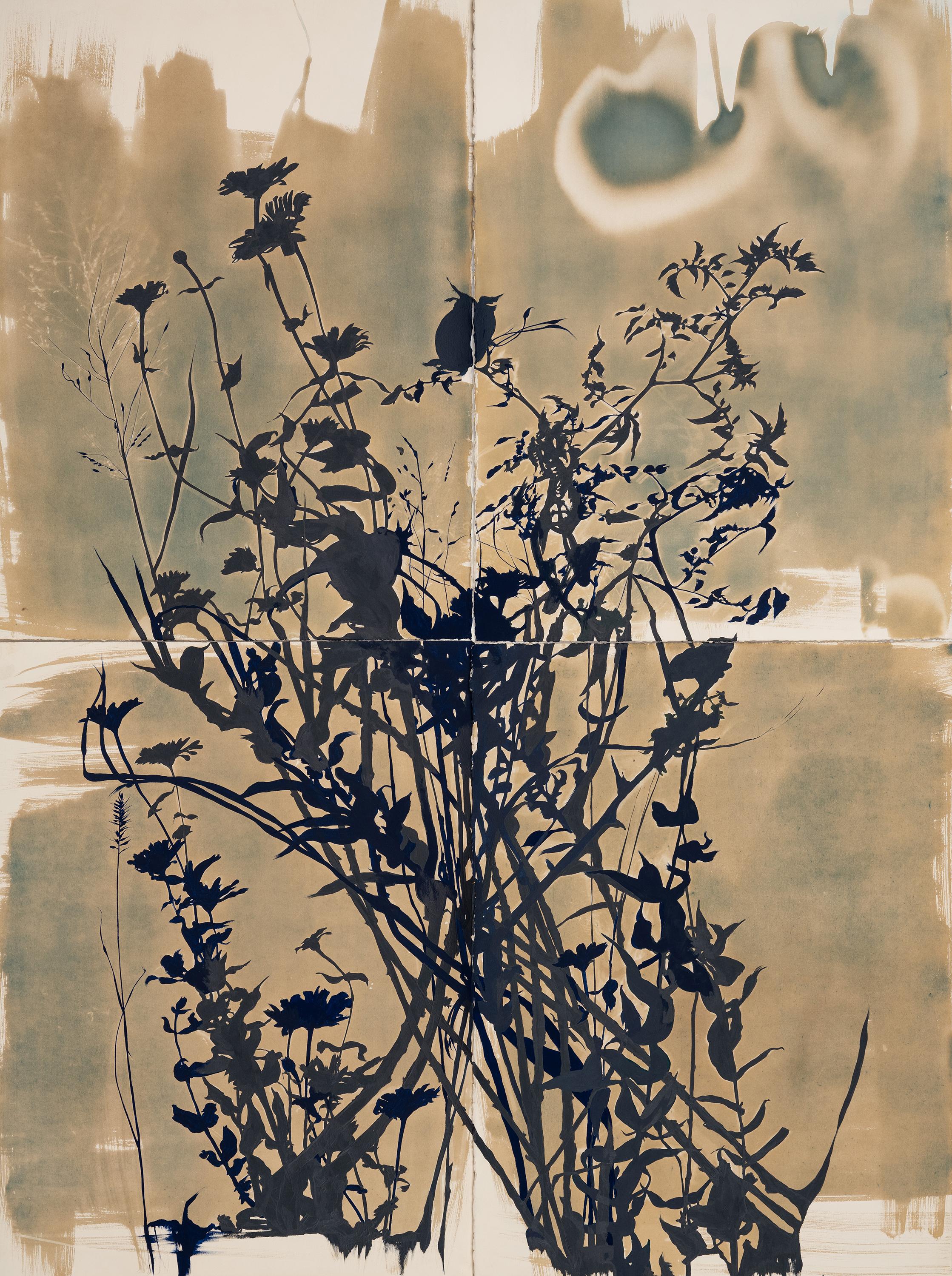 „This Place is a Dream (Nightshade)“ – botanisch – Cyanotypie – Blumen – stimmungsvoll