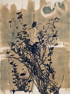 „This Place is a Dream (Nightshade)“ – botanisch – Cyanotypie – Blumen – stimmungsvoll