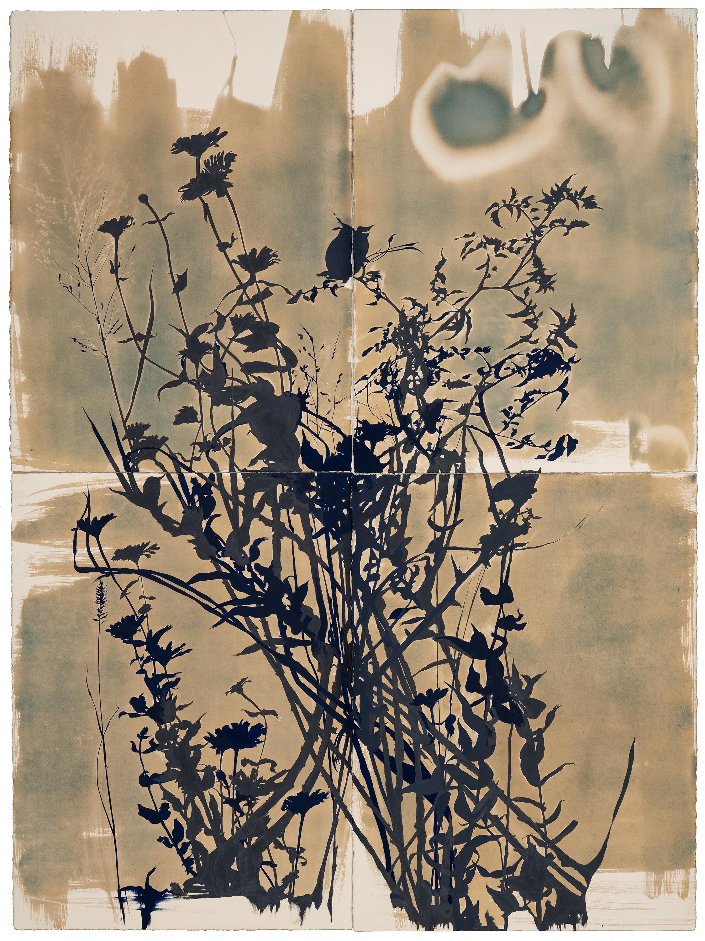 « This Place is a Dream (Nightshade) - botanique - cyanotype - fleurs - lunatique - Abstrait Art par Caroline Bullock