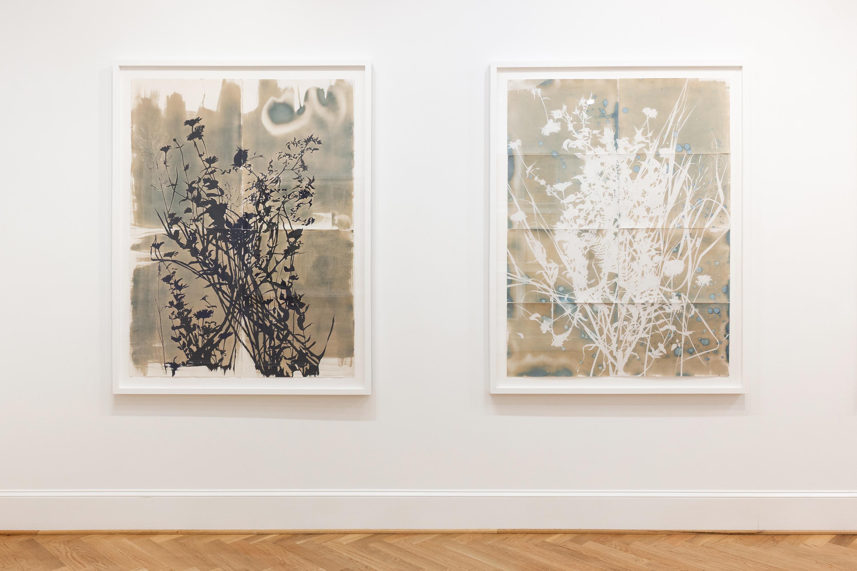 « This Place is a Dream (Nightshade) - botanique - cyanotype - fleurs - lunatique - Art de Caroline Bullock