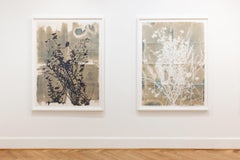 "This Place is a Dream (Nightshade)" - botanical - cyanotype - flowers - moody