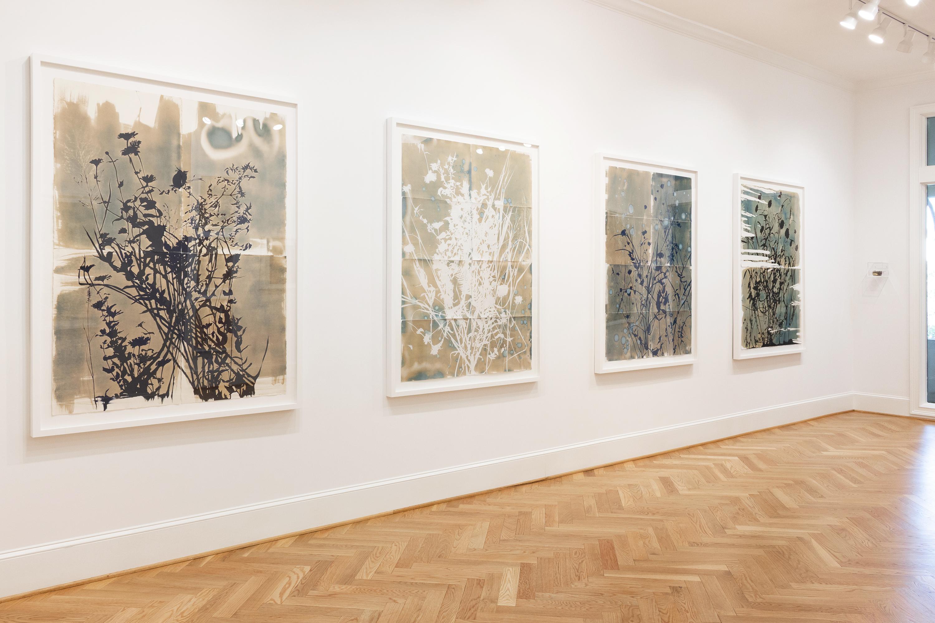 « This Place is a Dream (Nightshade) - botanique - cyanotype - fleurs - lunatique - Marron Abstract Drawing par Caroline Bullock