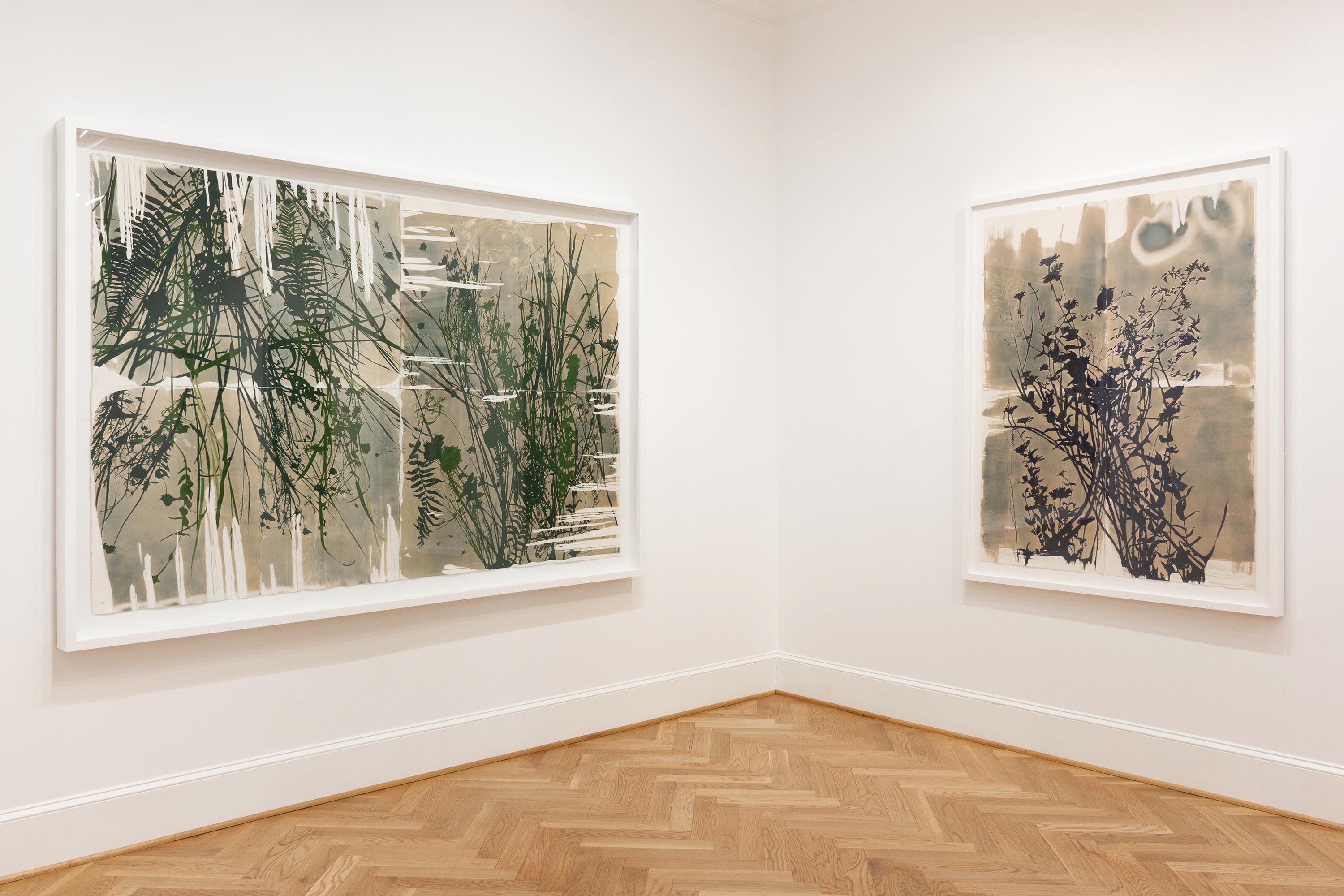« This Place is a Dream (Nightshade) - botanique - cyanotype - fleurs - lunatique en vente 3