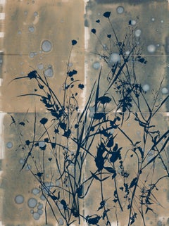 "This Place is a Dream (Casting)" - botanical - cyanotype - flowers - moody