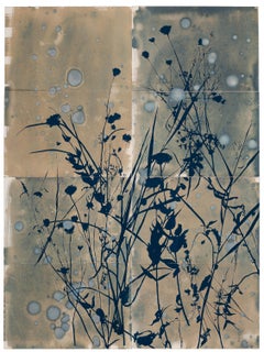 "This Place is a Dream (Casting)" - botanical - cyanotype - flowers - moody