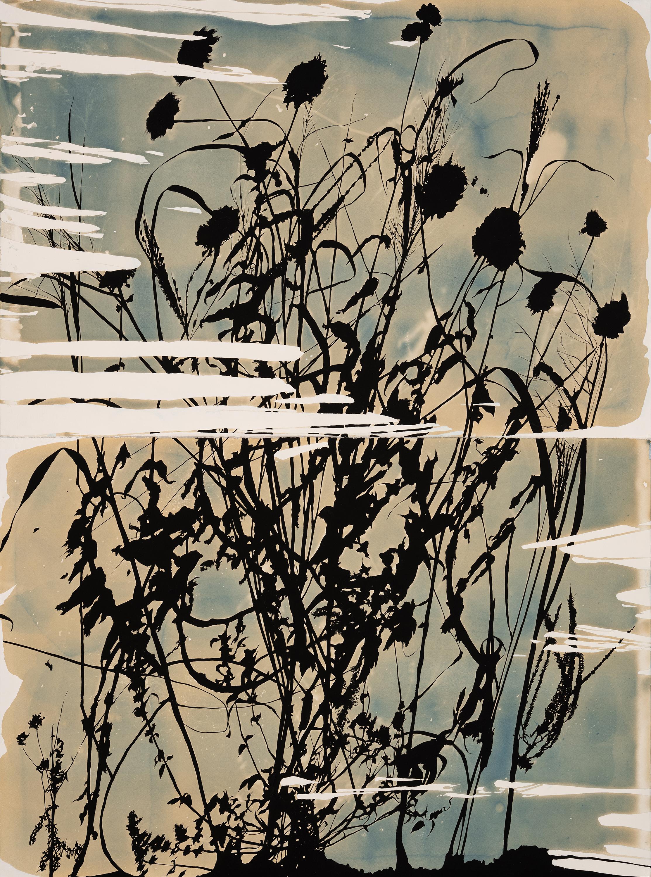 Caroline Bullock Abstract Drawing – „This Place is a Dream (Entanglement)“ – botanisch – Cyanotypie – Blumen – stimmungsvoll