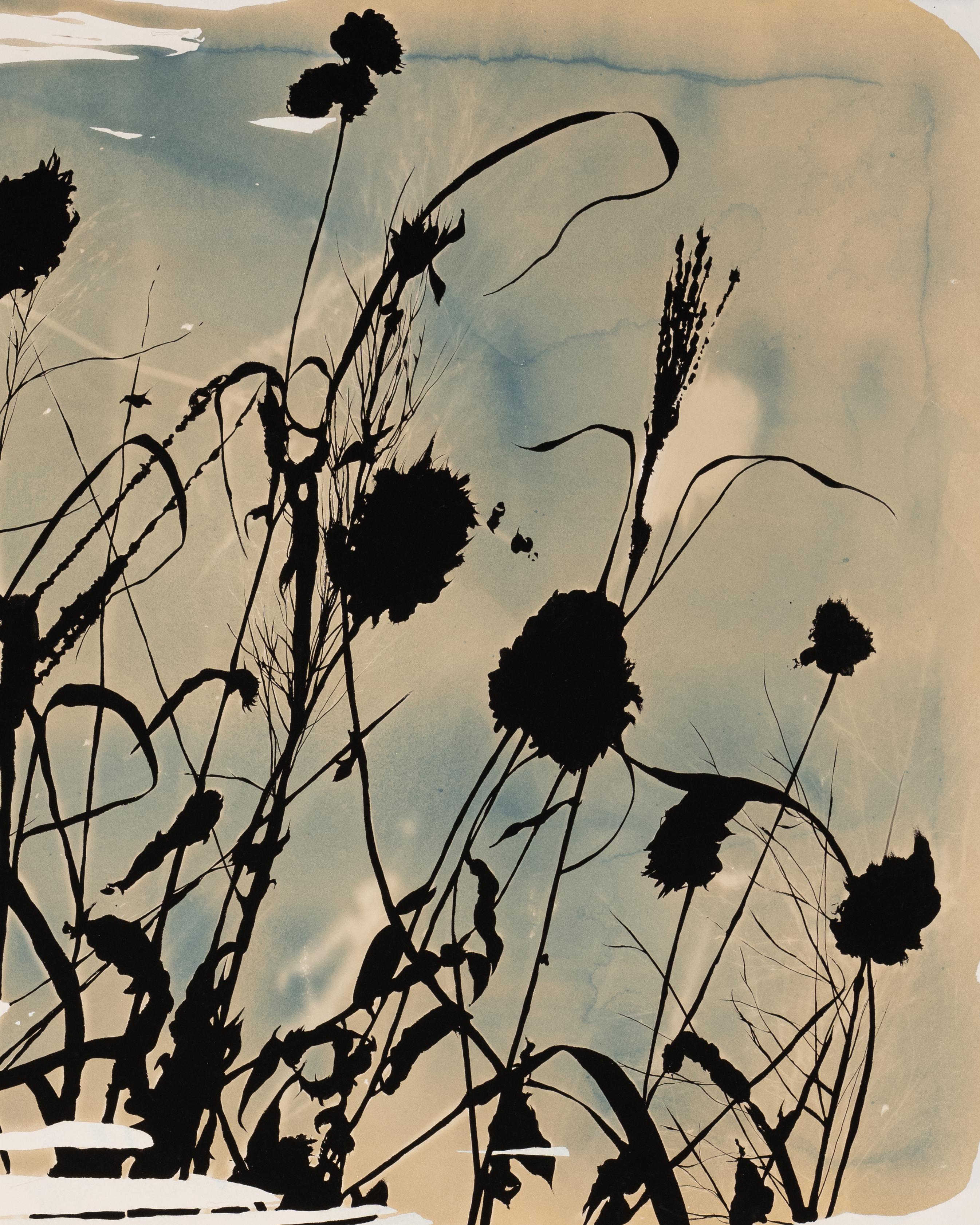 „This Place is a Dream (Entanglement)“ – botanisch – Cyanotypie – Blumen – stimmungsvoll (Braun), Abstract Drawing, von Caroline Bullock